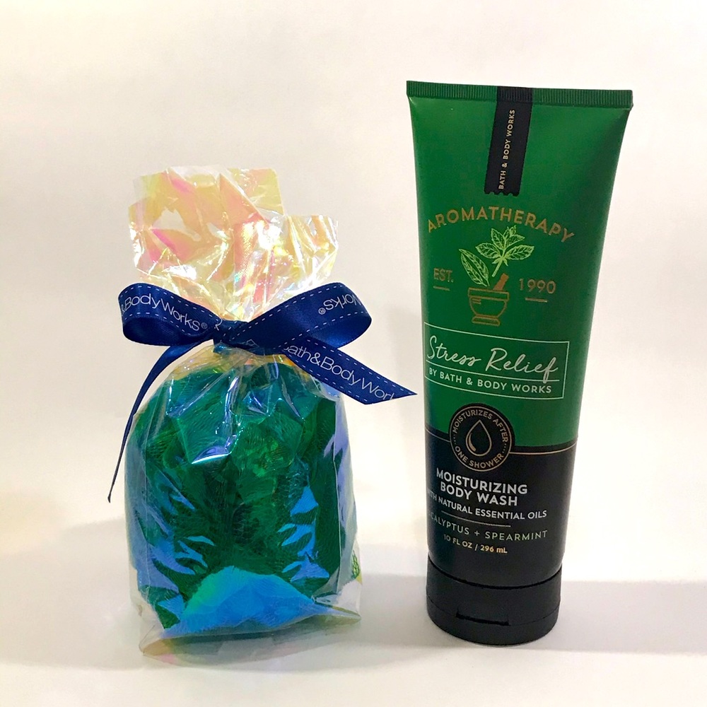 Bath & Body Works Stress Relief Body Wash & sponge